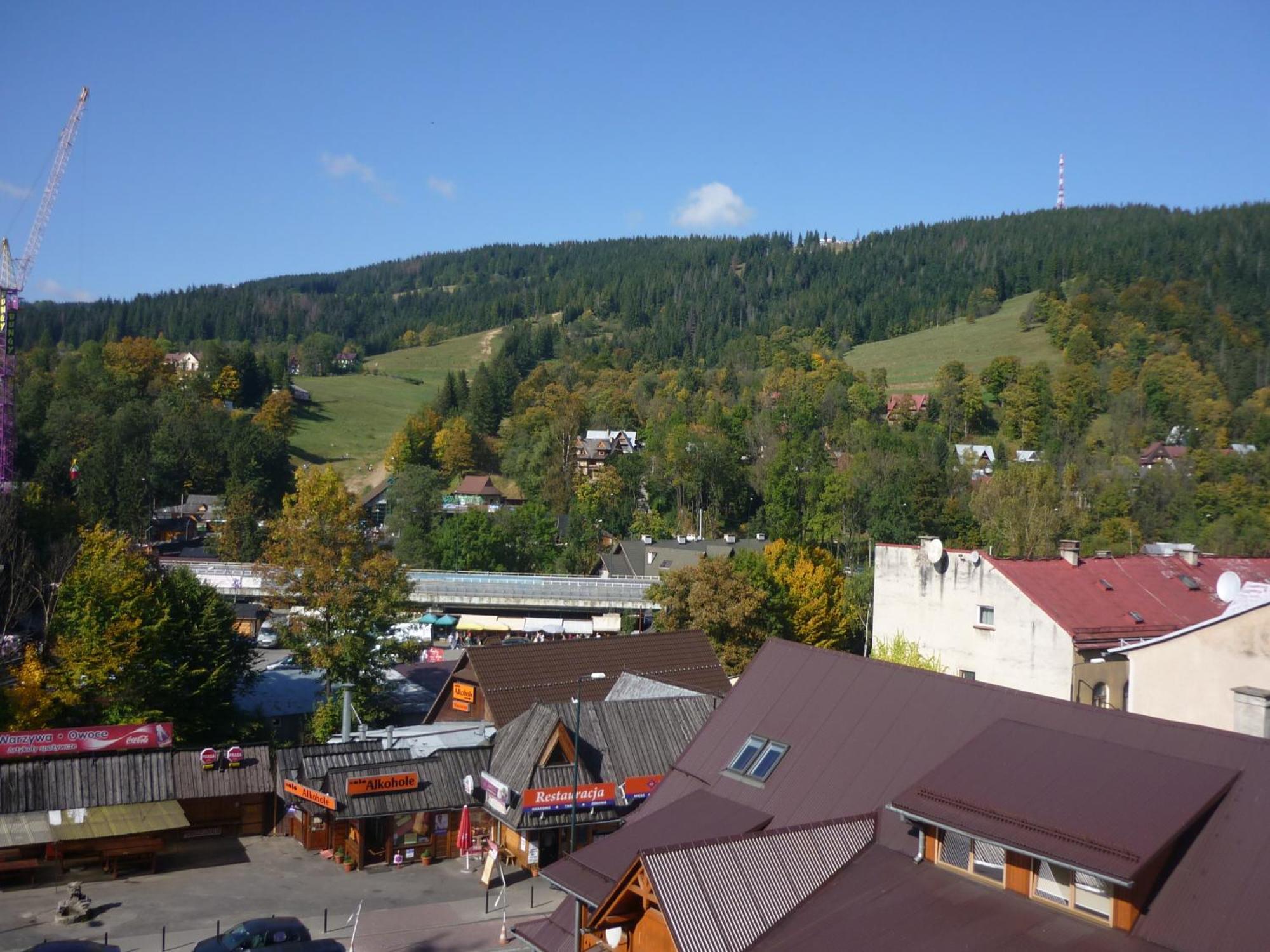 Nowotarski