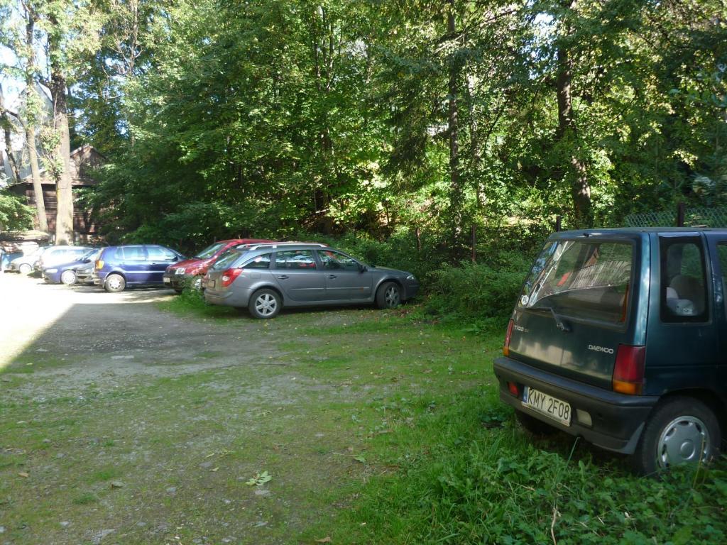 Nowotarski *